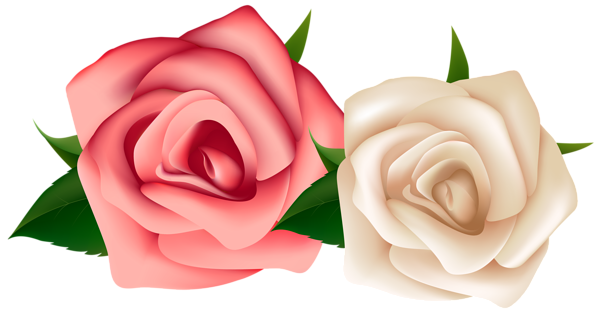 Red and White Roses Clipart PNG Image | Gallery Yopriceville - High