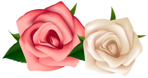 This png image - Red and White Roses Clipart PNG Image, is available for free download