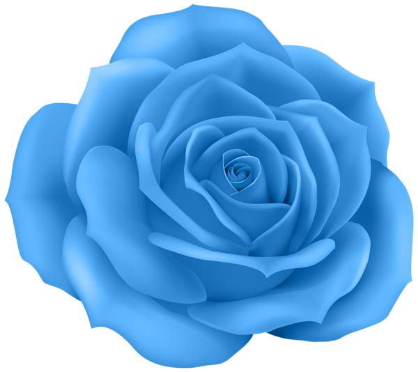 Rose Blue Clip Art PNG Image | Gallery Yopriceville - High-Quality Free ...