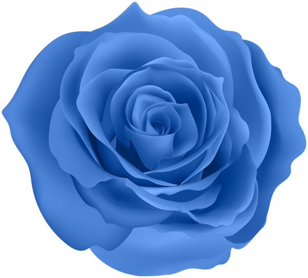 This png image - Rose Blue Color PNG Clipart, is available for free download