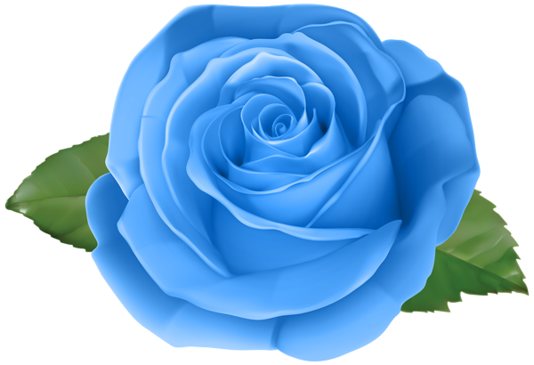 Rose Blue Transparent PNG Clip Art Image | Gallery Yopriceville - High ...
