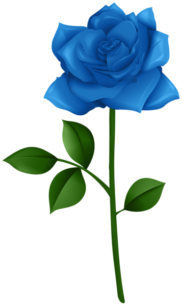 This png image - Rose Blue with Steam PNG Transparent Clipart, is available for free download