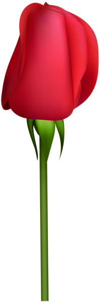 This png image - Rose Bud Transparent Clip Art, is available for free download