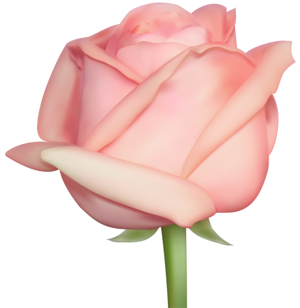 This png image - Rose Clip Art, is available for free download