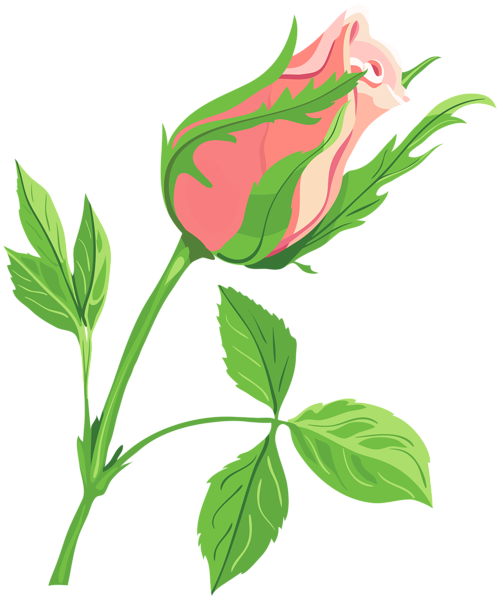 This png image - Rose Clip Art Image, is available for free download