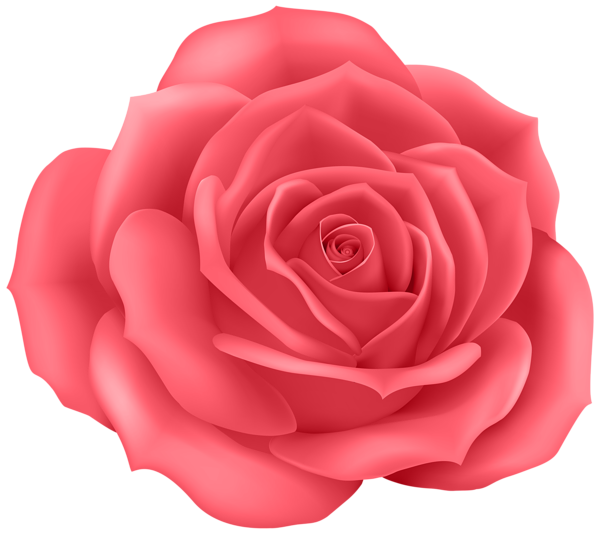 This png image - Rose Clip Art PNG Image, is available for free download
