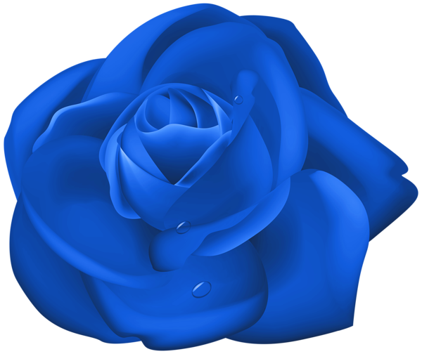 This png image - Rose Dark Blue PNG Clipart, is available for free download