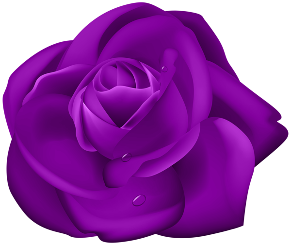This png image - Rose Dark Purple PNG Clipart, is available for free download