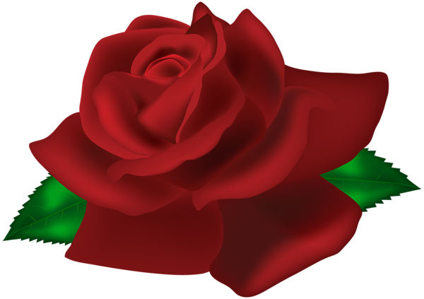This png image - Rose Dark Red PNG Clip Art Image, is available for free download