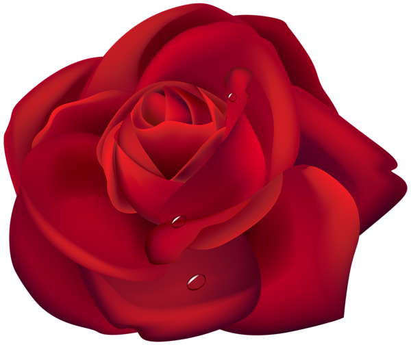 This png image - Rose Dark Red PNG Clipart, is available for free download