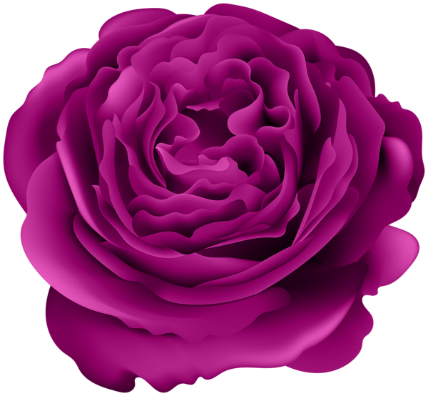 This png image - Rose Deco Transparent Image, is available for free download