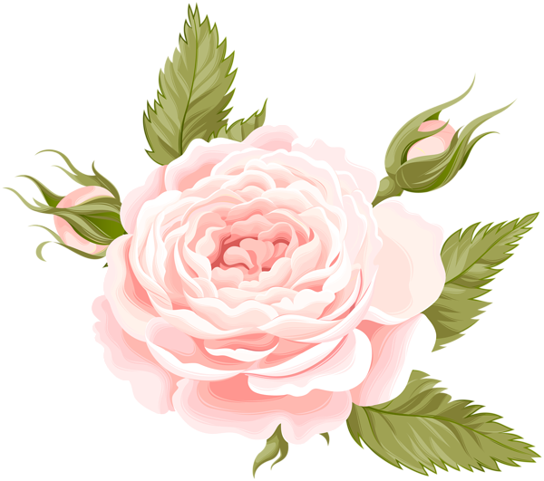 This png image - Rose Deco Transparent PNG Image, is available for free download