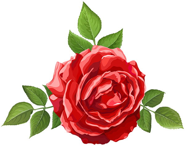 This png image - Rose Decorative Red Transparent Image, is available for free download