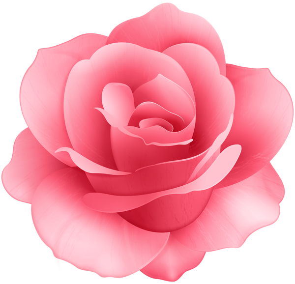 Rose Flower Clip Art Image | Gallery Yopriceville - High-Quality Free ...