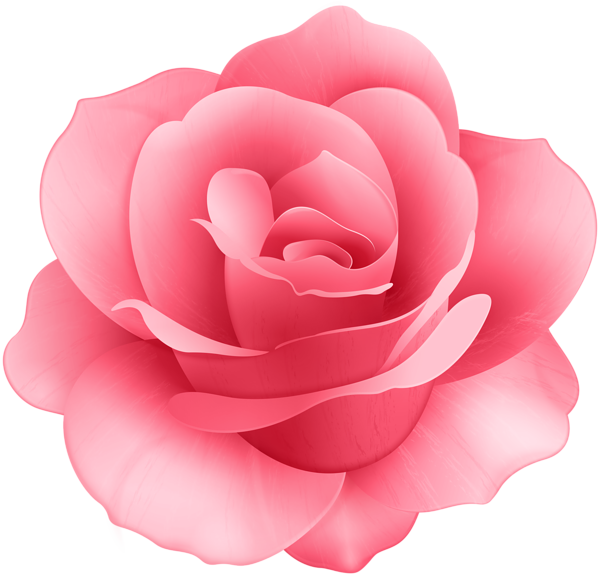 This png image - Rose Flower Clip Art Image, is available for free download