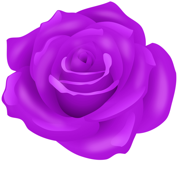 This png image - Rose Flower PNG Transparent Clipart, is available for free download