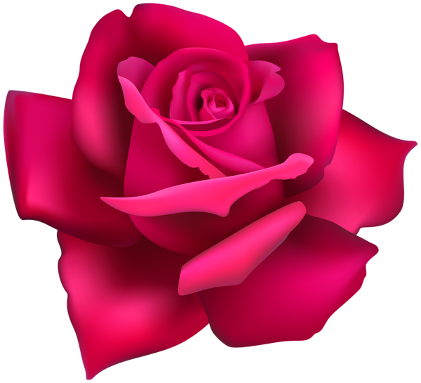 This png image - Rose Flower Pink Clip Art Image, is available for free download