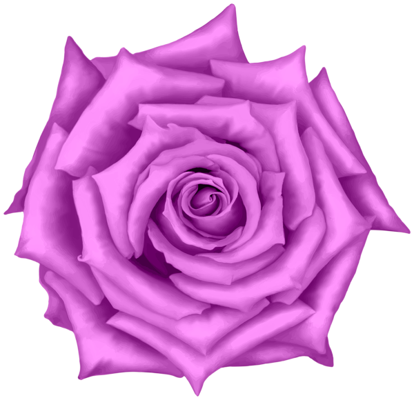 This png image - Rose Flower Pink PNG Clipart, is available for free download