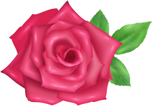 This png image - Rose Flower Pink Transparent Image, is available for free download