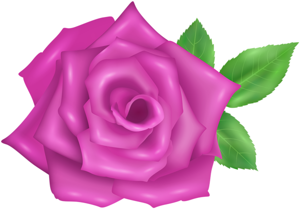 This png image - Rose Flower Purple Transparent Image, is available for free download