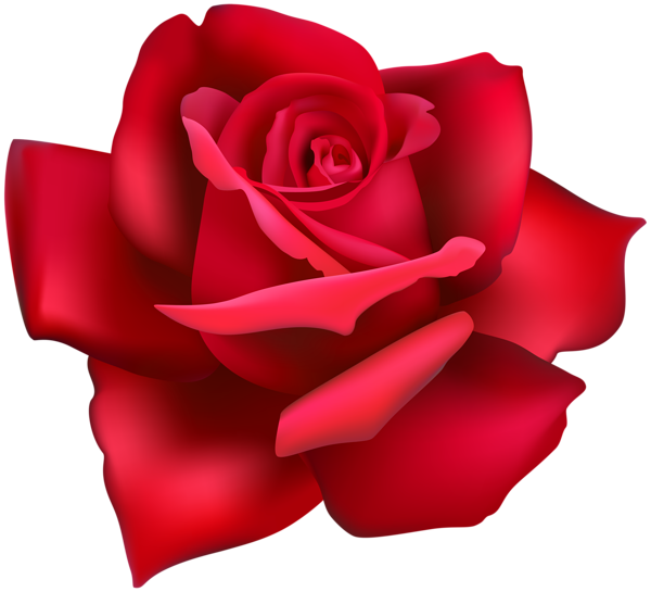 This png image - Rose Flower Red Clip Art Image, is available for free download