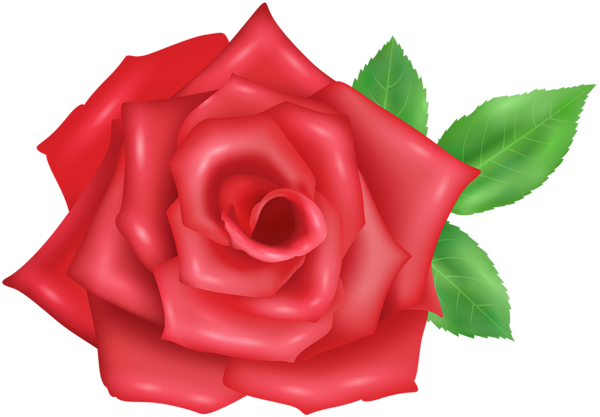 This png image - Rose Flower Red Transparent Image, is available for free download