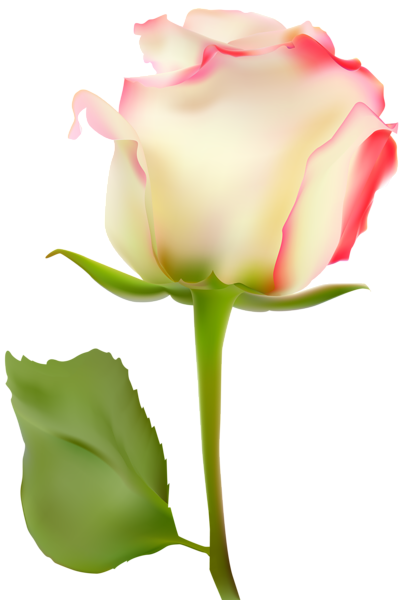 This png image - Rose Large Transparent Image, is available for free download