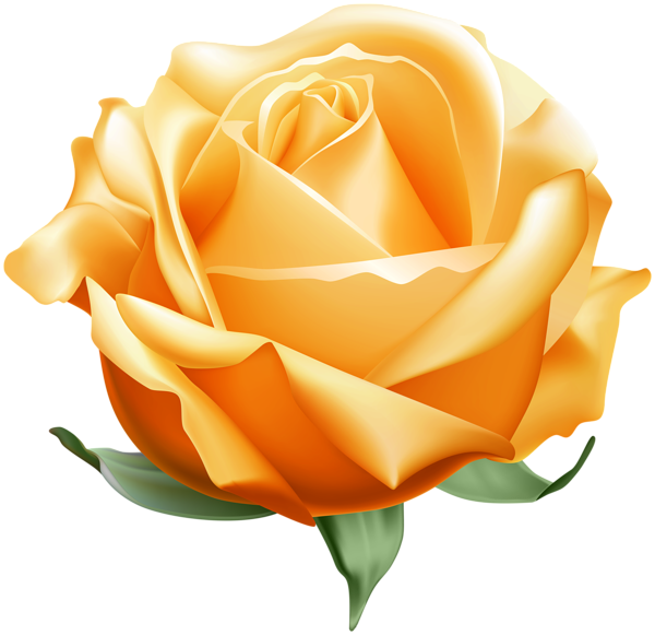 This png image - Rose Orange Open PNG Clipart, is available for free download