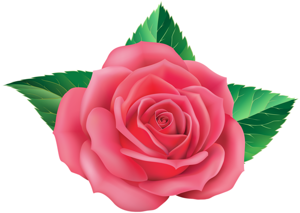 This png image - Rose PNG Clip Art Image, is available for free download