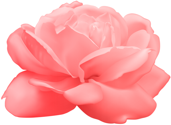 This png image - Rose PNG Clip Art Image, is available for free download