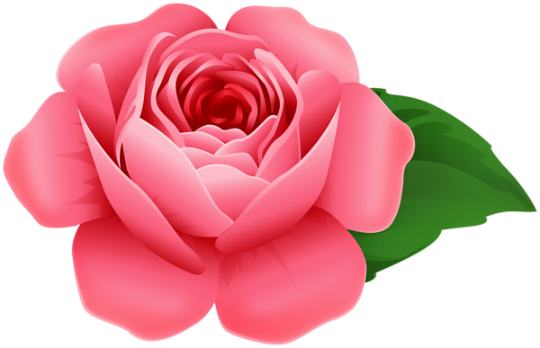 This png image - Rose PNG Decorative Clipart, is available for free download