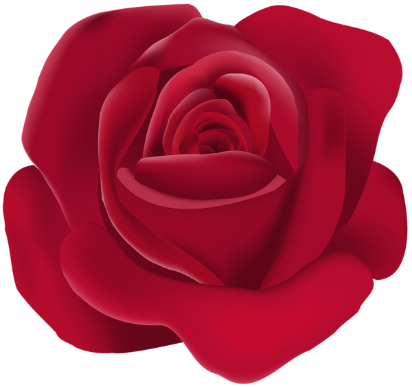 This png image - Rose PNG Image, is available for free download
