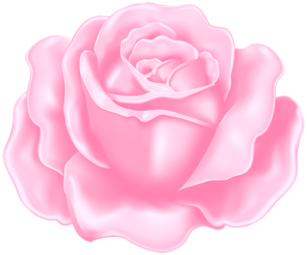 This png image - Rose PNG Light Pink Clipart, is available for free download
