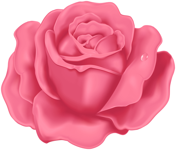 Rose PNG Pink Clipart | Gallery Yopriceville - High-Quality Free Images ...