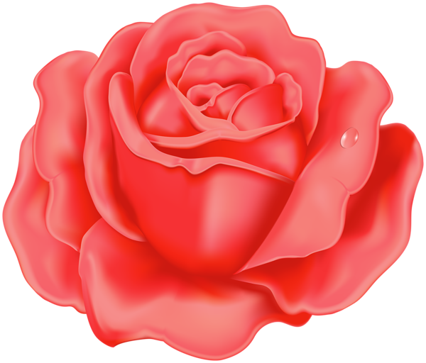 This png image - Rose PNG Red Clipart, is available for free download