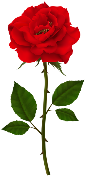 This png image - Rose PNG Transparent Clipart, is available for free download