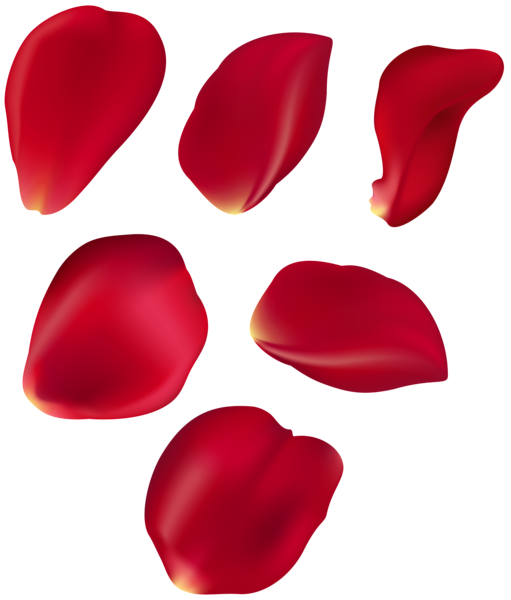 This png image - Rose Petal Set Red Transparent Clip Art, is available for free download
