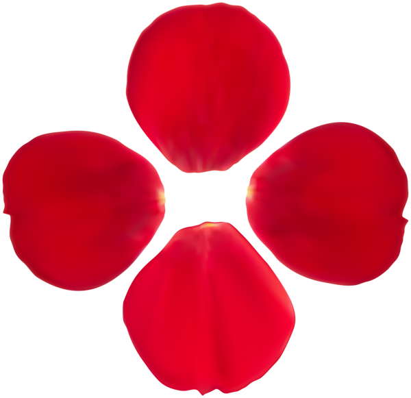 This png image - Rose Petals Transparent Image, is available for free download