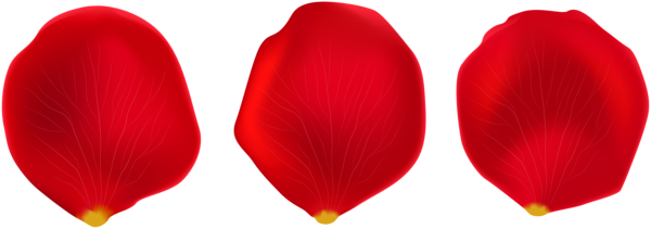 This png image - Rose Petals Transparent PNG Clip Art, is available for free download