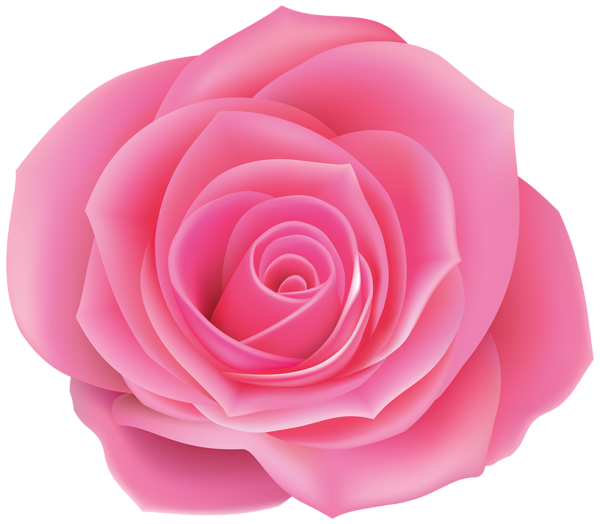 Rose Pink Clip Art Image | Gallery Yopriceville - High-Quality Free ...