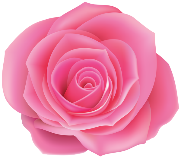 This png image - Rose Pink Clip Art Image, is available for free download