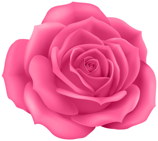 Rose Pink Clip Art PNG Image | Gallery Yopriceville - High-Quality Free ...