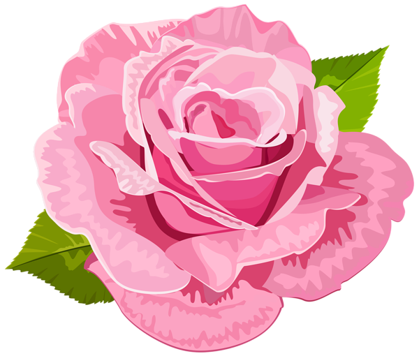 This png image - Rose Pink Deco PNG Clip Art Image, is available for free download