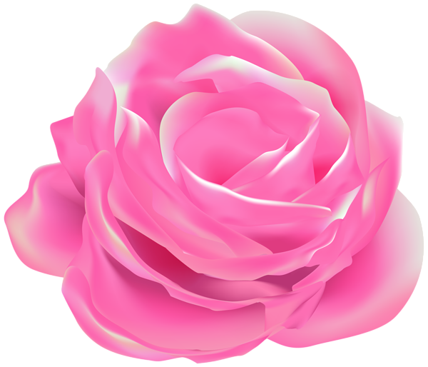 This png image - Rose Pink Decorative Transparent Image, is available for free download