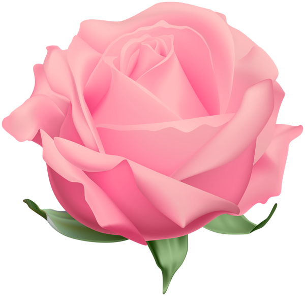 This png image - Rose Pink Open PNG Clipart, is available for free download