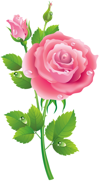 This png image - Rose Pink Transparent Clip Art Image, is available for free download