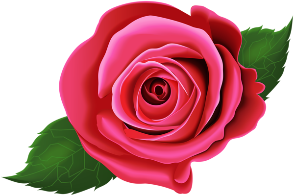 This png image - Rose Pink with Leaves PNG Clip Art Image, is available for free download