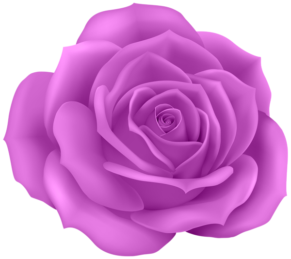This png image - Rose Purple Clip Art PNG Image, is available for free download