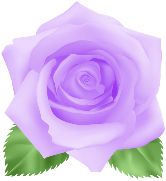 This png image - Rose Purple PNG Clip Art Image, is available for free download
