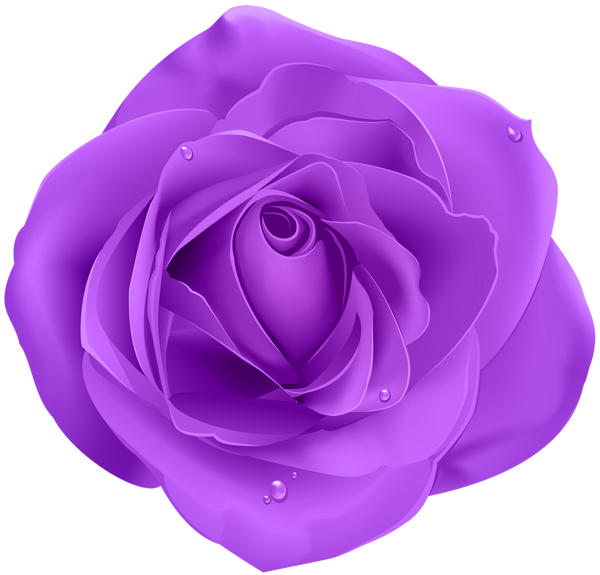This png image - Rose Purple Transparent PNG Clip Art, is available for free download